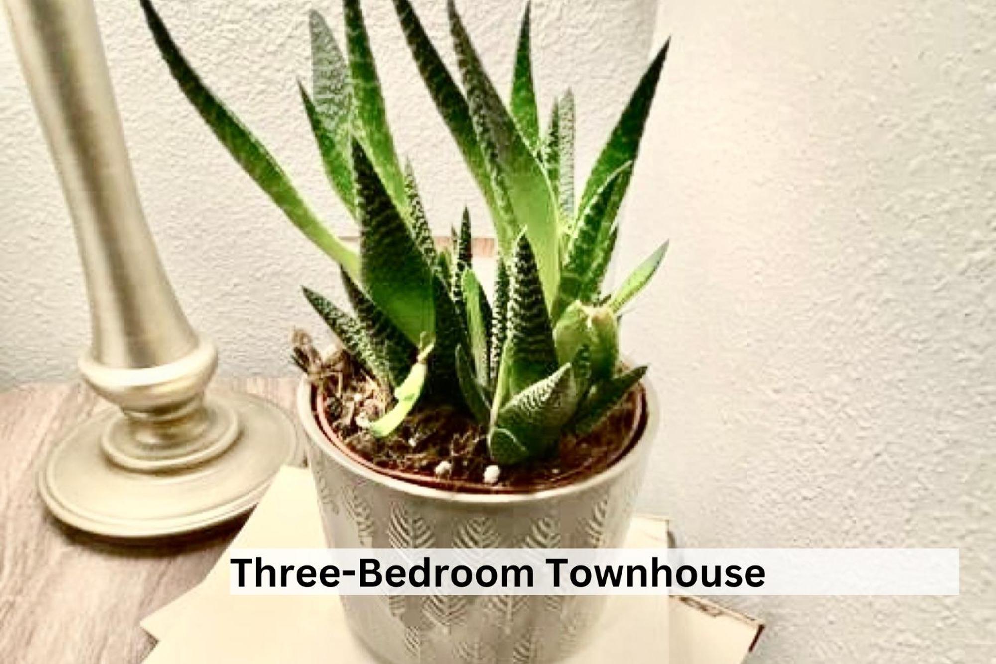 Boutique Apartment In Historic Downtown Όλμπανι Εξωτερικό φωτογραφία